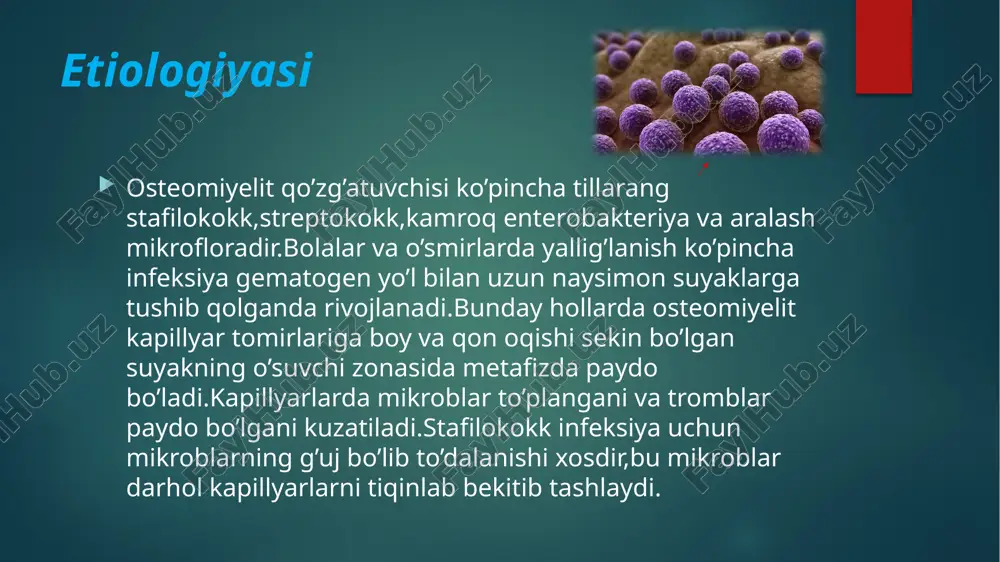 nadi.bemorning umumiy ahvoli asta-sekin yomonlashib boradi,kamqonlik rivojlanadi,harorat ko’tariladi. ikkilamchi surunkali osteomiyelit klinikasi.xronik osteomiyelit odatda kasallikning o’tkir jarayoni oqibatida paydo bo’ladi.suyak sekvestrlarining paydo bo’lishi unga xosdir.oqma yaralardan halok bo’lgan mayda-mayda suyak parchalari bilan birga yiring suyuqligi chiqib turadi.kasallik zo’rayganda mahalliy qattiq og’riq paydo bo’ladi,tana harorati ko’tariladi,yumshoq to’qimalar flegmonasi avj oladi,oqma yaralarning ko’zi ochiladi.yiring suyuqligi chiqib ketgach,bemor o’zini yaxshi his qiladi. diagnostikasi osteomielit tashxisi murakkab va klinik shubhalar va yuqori oq qon hujayralari soni va isitma kabi bilvosita laboratoriya belgilarining kombinatsiyasiga tayanadi, ammo klinik va laboratoriya shubhalarini ko'rish orqali tasdiqlash odatda zarur.radiografiya va kompyuter tomografiyasi dastlabki diagnostika usulidir, ammo sezgir emas va tashxis uchun o'rtacha darajada xosdir. ular rivojlangan osteomielitning kortikal destruktsiyasini ko'rsatishi mumkin, ammo boshlang'ich yoki beparvo tashxislarni o'tkazib yuborishi mumkin. rentgen diagnostikasi rentgen diagnostikasi periosteumning qalinlashishi (periostit) - cso ning birinchi ishonchli rentgen belgisi - 10-14 kundan keyin paydo bo'ladi (s. a. reinberg). rentgen tasviri suyakdagi morfologik destruktiv o'zgarishlarning haqiqiy …