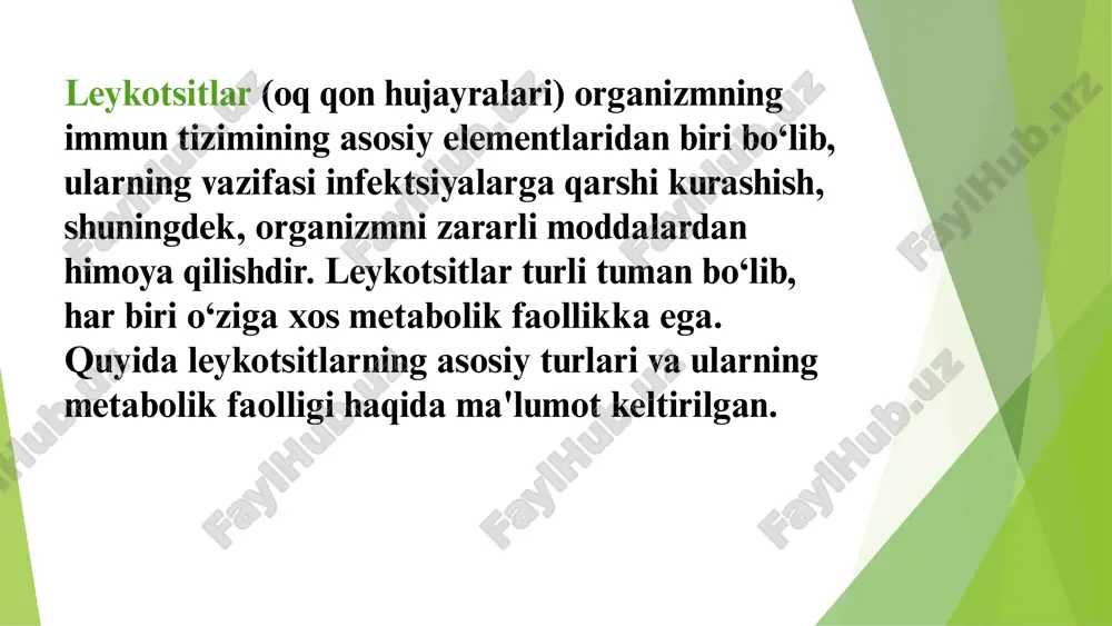 illar 0-6%. segment yadroli neytrofil diametri 12-16 mkm, hujayra yadrosi qizil - binafsha rang, yadro - sitoplazma nisbati 1:6-1:8. xromatin strukturasi yirik bo‘lakchali. xujayra sitoplazmasi pushti rang, neytrofil donadorlikka ega. neytrofillarning asosiy funksiyalari: fagotsitoz, dezintoksikatsiya, yallig‘lanish reaksiyasini chaqirish, leykotsitlarning etilishida ishtirok etish, qon ivishida ishtirok etish. normada periferik qonda segment yadroli neytrofillar 47-72%. eozinofillar 12-16 mkm diametrdagi yumaloq hujayralar bo‘lib, yadro sitoplazmatik nisbati 1:1. yadrosi to‘q binafsha rang, odatda ikkita segmentdan iborat, xromatin strukturasi notekis, yirik bo‘lakchali. sitoplazma oksifil, yirik sariq-pushti rangli maxsus granulalarga ega. eozinofillar qonda 6-12 soat bo‘ladi, keyin to‘qimalarga o‘tadi. eozinofillar 4 - 30 soat yashaydi. eozinofillarning funksiyasi allergik reaksiyalarni cheklash, antigelment immunitetni hosil qilish, fagotsitoz, yallig‘lanish jarayonida ishtirok etish, qon ivishida ishtirok etish. normada leykoformulada 0-5% eozinofillar bo‘ladi. bazofillar leykotsitar formulada normada 0-1% uchraydi. ularning funksiyasi: qon tomir o‘tkazuvchanligini yaxshilash, allergik reaksiyalarni cheklash, o‘smaga qarshi jarayonda ishtirok etish, yallig‘lanishga qarshi ta’sir, qon ivishida ishtirok etish, triglitseridlar …