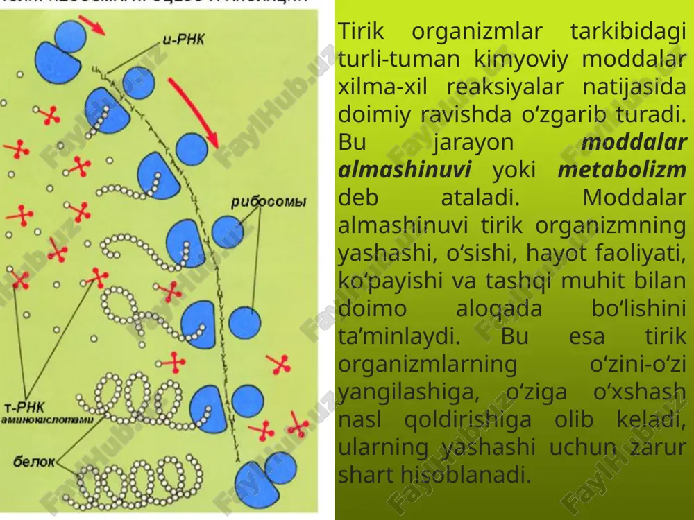 moddalar almashinuvi - Page 3