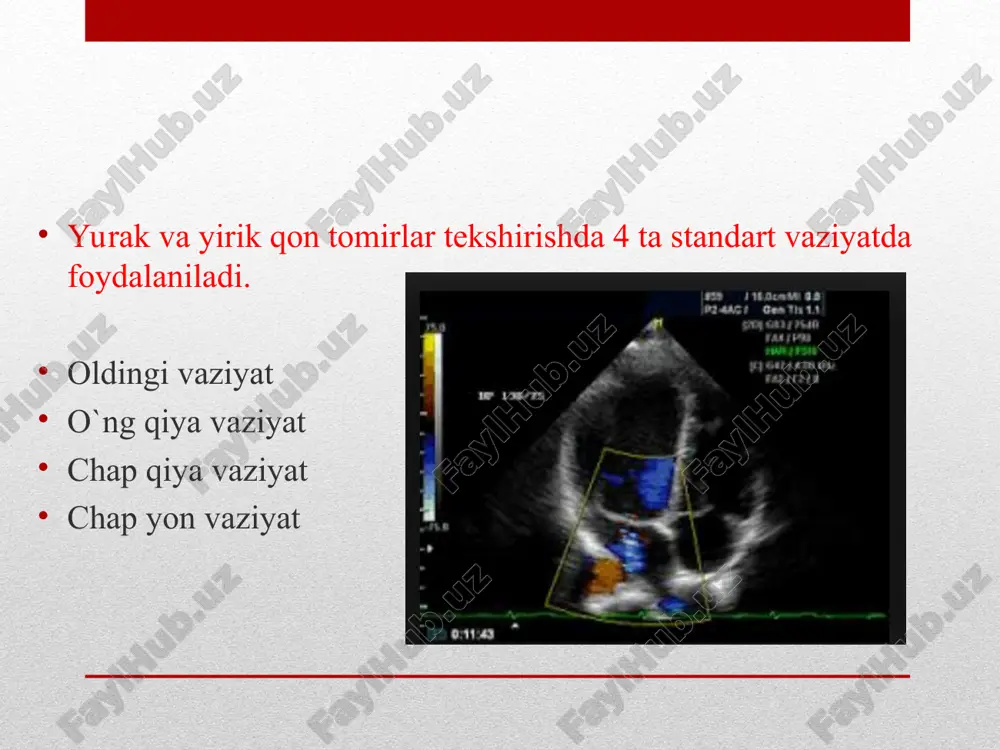 yurak va yirik qon tomirlar kasalliklarining kompleks nur diagnostikasi - Page 3