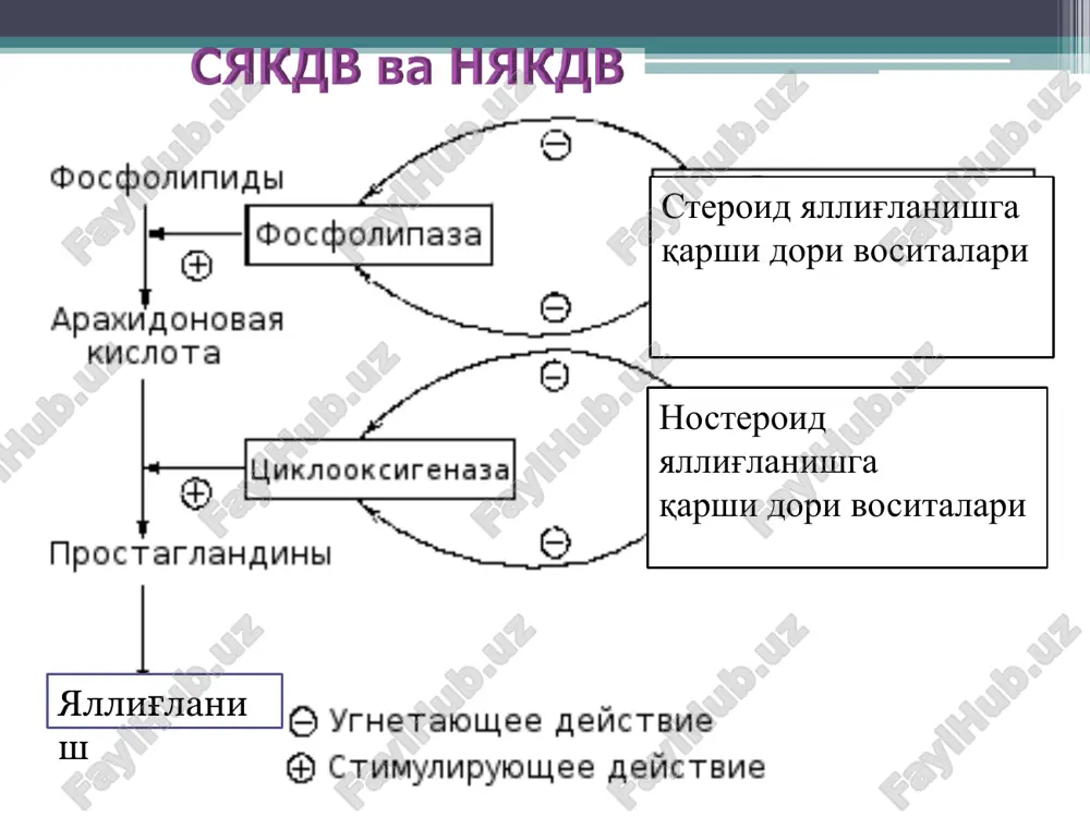 иш ҳисобига). қон-томир системасига салицилатлар деярли таъсир этмайди, фақат катта дозаларда қон томирларини кенгайтиради. салицилатлар жигарнинг ўт ажратиш қобилиятини кучайтиради. буйракда уратлар ва фосфатларни қайта сўрилиши (реабсорбция)ни сусайтиради. катта дозаларда пешоб таркибида пешоб кислотасини қайта сўрилишини сусайтириш ҳисобига уни ажралишини оширади (подаграда бу яхши). кичик дозаларда буни акси бўлади ва пешоб кислотасининг миқдори қонда ортади. салицилатларнинг катта дозалари тромбоцитлар миқдорини камайтиради. ацетилсалицилат кислотаси тромбоксан биосинтезини сусайтириб тромбоцитлар агрегациясини тўхтатади. бу хусусият натрий салицилатда йўқ. салицилатлар катта дозада гипоталамусни рағбатлантириш ҳисобига актгни ажралишини ва шунинг ҳисобига глюкокортикоидларнинг қондаги миқдорини оширади. салицилатлар оқсил, ёғ кислоталари ва аминокислоталарнинг парчаланишини оширади, уларнинг синтезини сусайтиради. няқд антиагрегант таъсирга эга: тромбоцитларда цог-1 ни тормозлайди эндоген проагрегант тромбоксанни синтезини пасайтириш ҳисобига кучли ва узоқ муддатли антиагрегацион активликка эга аспирин который необратимо подавляет способность тромбоцита к агрегации на всю продолжительность его жизни (7 дней). антиагрегацион самара бошқа няқдв кучсиз ва қайтар жараён 400 mg/240 mg таблетки шипучие № …