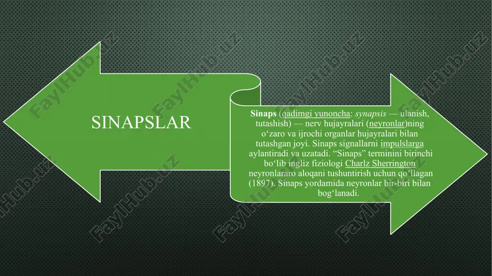 sinops)yordamida uzatiladi. image2.jpeg image3.png image4.png image5.png /docprops/thumbnail.jpeg