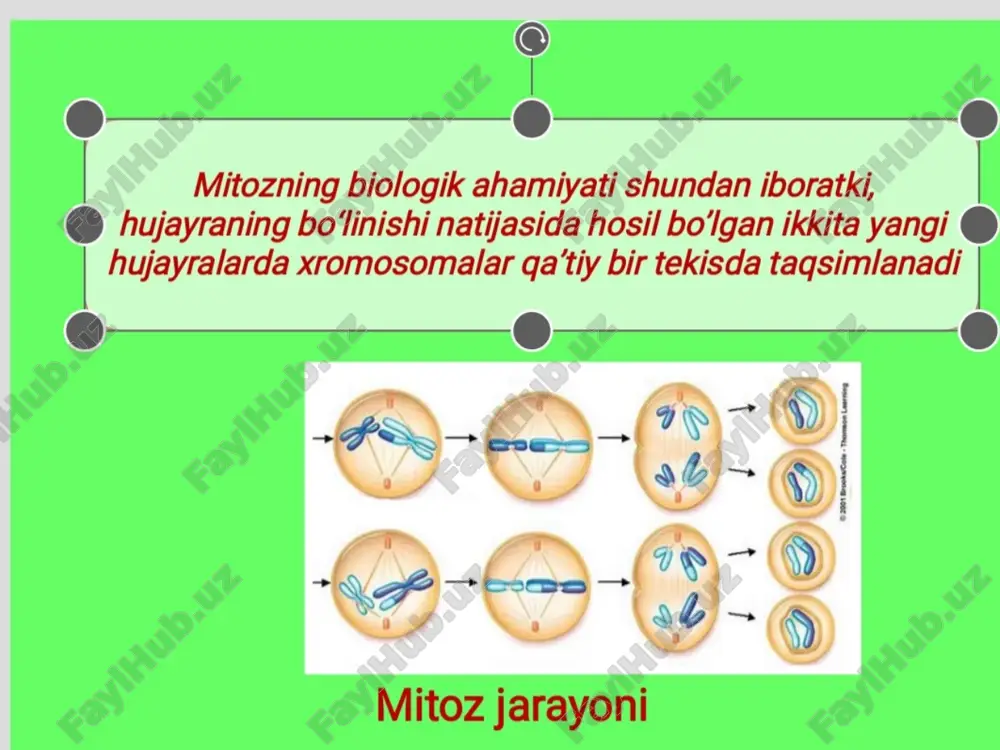 ynan bir xil irsiy axborotni saqlaydi. meyoz. meyoz eukariot hujayralarning o‘ziga xos bo‘linishi bo‘lib, bu bo‘linish natijasida hosil bo‘ladigan hujayralarda xromosomalar soni ikki hissa kamayadi. meyoz ham mitoz singari interfazadan boshlanadi. interfazada xromosomalar ikki hissa ortadi. metafaza i da xromosomalar o‘z sentromerlari bilan birgalikda ekvator tekisligi bo‘ylab joylashadi. anafaza i da gomologik xromosomalar xromatidalarga ajralmagan holda qarama-qarshi qutblarga tarqaladi. profaza ii mitoz profazasidan farq qilmaydi. metafaza ii da juft xromatidali xromo somalar o‘z sentromeralari bilan ekvator tekisligida joylashadi. anafa za ii da sentromerlar bo‘linib har bir xromatida mustaqil xromosomalarga aylanadi. meyozning biologik ahamiyati. meyoz jarayonida 1 ta diploid to‘plamli hujayradan 4 ta gaploid hujayralar ho sil bo‘ladi. meyoz jarayonida sodir bo‘ladigan konyugatsiya, krossingover, savol va topshiriqlar eukariot hujayralarga qaysi yo‘l bilan bo‘linib ko‘payish xos? prokariotlar uchun-chi? prokariotlarda oddiy binar ko‘payish qanday kechadi? mitoz nima? mitoz fazalarini tavsifl ang. qanday qilib mitoz bo‘linish natijasida qiz hujayralar aynan bir xil irsiy axborotga …