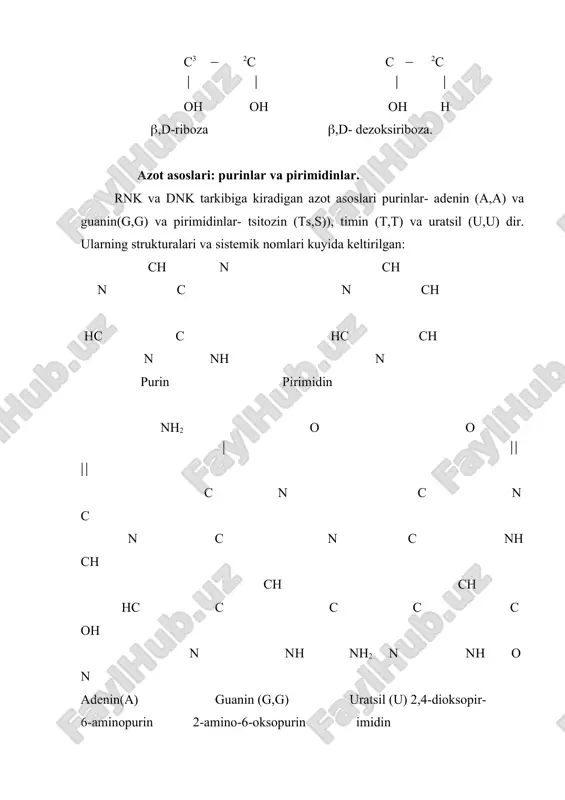 larning juda muxim spetsifikligidan (uziga xosligidan) foydalanib polinukleotid zanjirini xoxlagan joyidan kesib, oldindan belgilangan fragmentlarni olish mumkin. bunday nozik operatsiyani bajarishda nukleazalarning restriktazalar deb ataladigan, keyingi yillarda kashf etilgan guruxi juda xam kulay keldi. restriktazalar bakterial xujayralarda ularni yemiruvchi viruslar bilan kurashda juda muxim kuroldir. ular restriktsion endonukleazalar deb xam ataladilar va nukleotidlarning tegishli tartibiga nisbatan uziga xos va fakat ma‘lum boglargagina ta‘sir etadilar. xozirgi kunda turli bakterial xujayralardan bir necha yuz restriktsiyalovchi endonukleazalar topilgan. restriktazalarning bunday anik ta‘sir mexanizmi laboratoriya sharoitida dnk molekulasini ma‘lum boglar buyicha paryaalab, spetsifik fragmentlarning kichik yigindisini olish imkoniyatini beradi. kitobning xix bobida bu ajoyib fermentlar guruxi xakida kushimcha ma‘lumotlar berilgan. nukleazalar fosfodiefir bogining р-atomini chetdagi nukleotid yoki ichkaridagi nukleotid tomonidan uzilishiga karab endova ekzonukleazalar gruppasiga bulinadi. nuklein kislotalarni urganishda kullanadigan spetsifik nukleazalarning kupchiligi turli bakteriyalardan ajratib olingan. rnk ning birlamachi strukturasini aniklashda,asosan ekzonukleazalar yordamida polinukleotid zanjirining bir uchidan ayrim nukleotidlarni birin-ketin gidroliz yuli bilan …