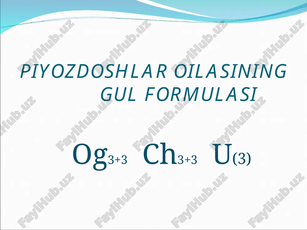 piyozdoshlar oilasi - Page 3