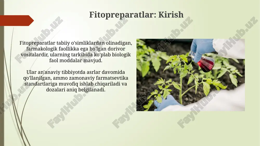 otda fitopreparatlarning roli ortib bormoqda, 2030-yilgacha 40% o'sish kutilmoqda, bu esa ularning samaradorligini tadqiq etish zarurligini anglatadi. e'tiboringiz uchun rahmat image2.jpg image3.jpg image4.jpg image5.jpg image6.jpg image7.jpg image8.jpg image9.jpg image10.jpg image11.jpg