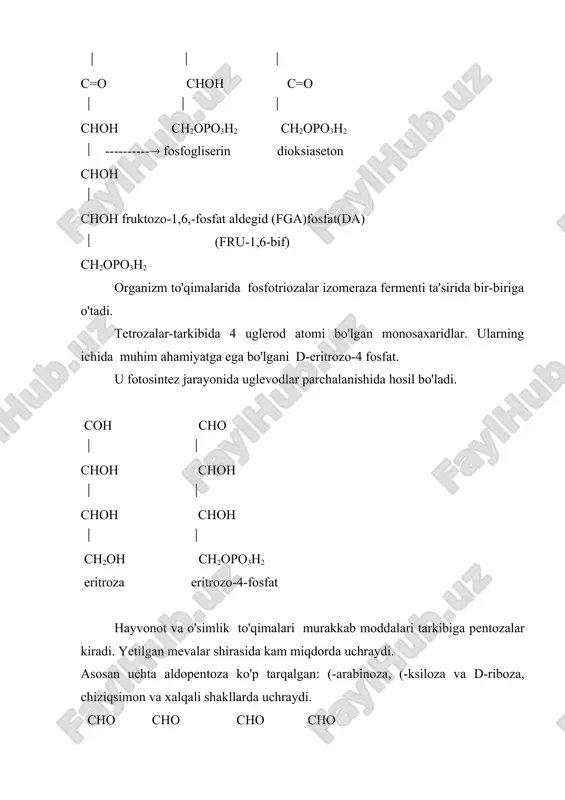 gar, shilimshiq, gemisellyulozalar tarkibiga kiradi. d-fruktoza mevalar tarkibida bor, saxaroza va inulin tarkibida uchraydi. fruktoza fosforlangan holatda uchraydi. oligosaxaridlar. oligosaxaridlardan eng ko'p tarqalgan disaxaridlardir. saxaroza ko'p tarqalgan disaxaridlardan hisoblanadi. u o'simlik tanasida ildizida, boshog'ida, tuganagida, mevasida va bargida uchraydi. saxaroza gidrolizlanganda hosil bo'ladigan glyukoza va fruktoza aralashmasi invert shakar, dab ataladi. asal asosan invert shakardan tashkil topgan. saxaroza muhim ovqat moddasi, u ham energetik ahamiyatga va ta'm berish qobiliyatiga ega. maltoza kraxmal va glikogenning fermentativ gidrolizlanishi natijasida hosil bo'ladi, tabiatda erkin holda uchramaydi. maltoza gidrolizlanishi natijasida ikki molekula (-d-glyukoza hosil bo'ladi laktoza sut tarkibida uchraydi va sut emuvchi go'dak organizmi uchun birdan-bir uglevod manbai hisoblanadi. laktoza gidrolizlanganda glyukoza va galaktoza hosil qiladi. polisaxaridlar. kimyoviy tuzilishiga qarab polisaxaridlar ikkiga bo'linadi: gomopolisaxaridlar-bir xil monosaxaridlar qoldig'idan tashkil topgan va geteropolisaxaridlar-har-xil monosaxarid qoldiqlaridan tuzilgan. kraxmal, sellyuloza, glikogen va inulin gomopolisaxaridlar guruxiga kiradi. kraxmal-(с6н12о6)п -donachalar holatida o'simlik doni, tuganagi va ildizida zahira polisaxarid sifatida yig'iladi. …