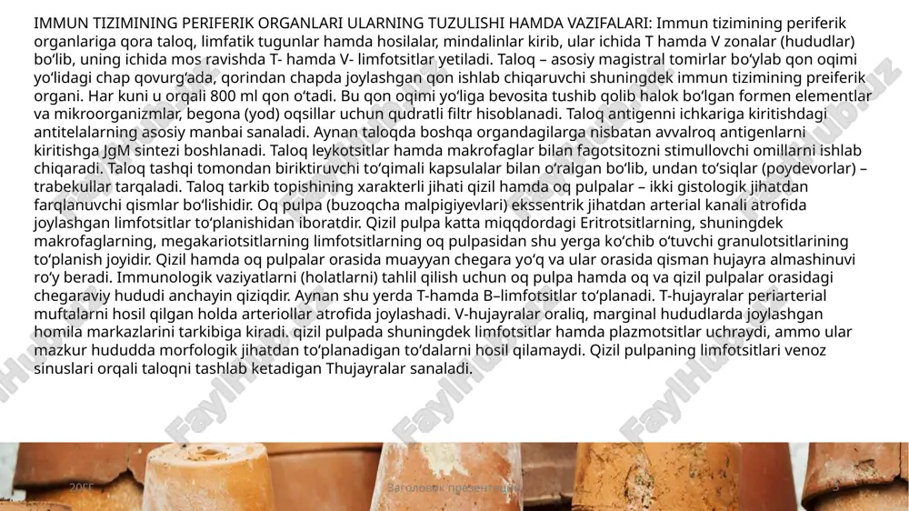smlarida turlicha о‘zgarib turadi. chakning limfoid hosilalari tuzulishi vazifalari: ichakning limfoidli hosilalari yо‘g‘on hamda ingichka ichak devorlarida limfoid hosilalar anatomik xususiyatlarga ega. mazkur organlarning tuzilishi hamda immunologik funksiyasi ingichka va yо‘g‘on ichakning fiziologik vazifalariga mos keladi. limfoid apparat о‘z ichiga quyidagilarni oladi: limfoid (peyerovlar), bir dona limfoid tugunlari, qorishiq joylashgan limfotsitlar. yо‘g‘on ichak boshlanishida limfoid tugunli uning chuvalchangsimon о‘simtasi joylashgan bо‘ladi. 4 2topshiriq. immun tizimining markaziy hamda periferik organlari mavzusi bo‘yicha 'keys' tuzish immun tizimida ilik qanday ahamiyatga ega: ilik bir vaqtning о‘zida ham qon ishlab chiqaruvchi, ham immun tizim sanaladi. ilikning umumiy massasi 2,5 – 3 kg. qizil hamda sariq iliklar farqlanadi. ilik naysimon suyaklar ichidagi bо‘shliqda bо‘lib, retikulyar stroma, jips holda joylashgan gemopoyetik hamda limfoid tо‘qimalar, shuningdek kapillyarlarning tarmoqlangan tizimlarining tо‘qimalarining birlashishidan iborat. ilikning asosiy vazifasi – limfotsitlar va qon hujayralari mahsuloti. funksional vazifasiga kо‘ra qizil ilikda miyeloid (gemotsitopoyetik) hamda limfoid tо‘qimalar farqlanib, ulardan qon, monotsitlar hamda b–limfotsitlar …