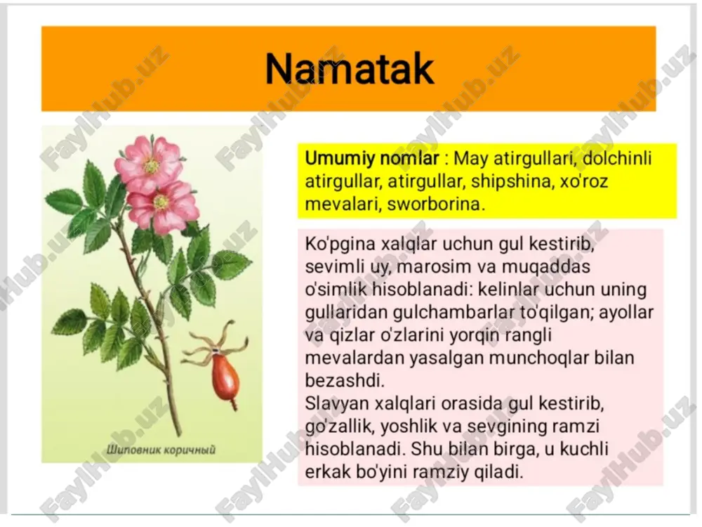 glari tibbiyotda qullaniladi. m.ming mevalari yirik va shirin bulgan ayrim yovvoyi turlari madaniylashtirilib, seleksiya navlari chiqarilgan (300 dan ortiq navlari bor). m. koʻchatlari arta bahorla yoki kuzda 2x0,75 m sxemala ekiladi. m. novdadari simbagazlarga boglanadi. hosillorligi 50—70 s/ga. m. 12—15 yil yashaydi. www.arxiv.uz www.arxiv.uz image1.jpeg image2.jpeg image3.jpeg image4.png image5.png image6.jpeg image7.jpeg image8.jpeg image9.jpeg image10.jpeg image11.jpeg image12.jpeg image13.jpeg image14.jpeg image15.jpeg image16.jpeg image17.jpeg image18.jpeg image19.jpeg image20.jpeg image21.jpeg image22.jpeg blackberries
