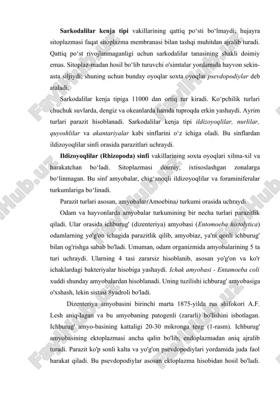 ing 4 tasi zararsiz hisoblanib, asosan yo'g'on va ko'r ichaklardagi bakteriyalar hisobiga yashaydi. ichak amyobasi - entamoeba coli xuddi shunday amyobalardan hisoblanadi. uning tuzilishi ichburag' amyobasiga o'xshash, lekin sistasi 8yadroli bo'ladi. dizenteriya amyobasini birinchi marta 1875-yilda rus shifokori a.f. lesh aniq-lagan va bu amyobaning patogenli (zararli) bo'lishini isbotlagan. ichburug' amyo-basining kattaligi 20-30 mikronga teng (1-rasm). ichburug' amyobasining ektoplazmasi ancha qalin bo'lib, endoplazmadan aniq ajralib turadi. parazit ko'p sonli kalta va yo'g'on psevdopodiylari yordamida juda faol harakat qiladi. bu psevdopodiylar asosan ektoplazma hisobidan hosil bo'ladi. ichburug' amyobasi juda keng tarqalgan. yer sharining turli hududlarida amyoba bilan 10 foizdan 30 foizgacha odamlar zararlanishi mumkin. lekin amyobiaz bilan kasallanish belgilari asosan issiq tropik va subtropik hududlarda yashovchi xalqlar o'rtasida uchraydi. o'rta va shimoliy kengliklarda yashovchi aholi ichagida ham amyoba uchrab tursada, kasallanish hollari deyarli kuzatilmaydi. amyoba bilan zararlangan, lekin ichburug' bilan kasallanmaydigan odamlar amyoba tashuvchilar hisoblanadi. ba'zi hollarda, masalan issiq iqlimda organizm immuniteti …