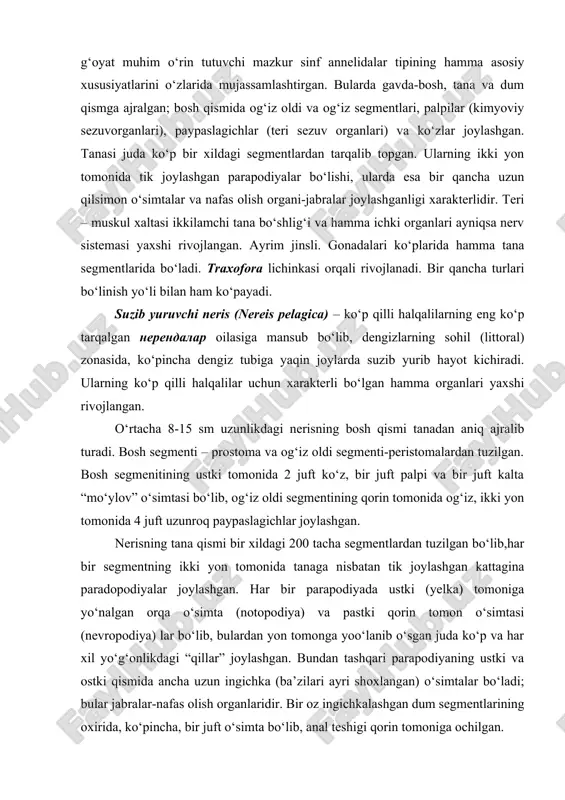 “mo‘ylov” o‘simtasi bo‘lib, og‘iz oldi segmentining qorin tomonida og‘iz, ikki yon tomonida 4 juft uzunroq paypaslagichlar joylashgan. nerisning tana qismi bir xildagi 200 tacha segmentlardan tuzilgan bo‘lib,har bir segmentning ikki yon tomonida tanaga nisbatan tik joylashgan kattagina paradopodiyalar joylashgan. har bir parapodiyada ustki (yelka) tomoniga yo‘nalgan orqa o‘simta (notopodiya) va pastki qorin tomon o‘simtasi (nevropodiya) lar bo‘lib, bulardan yon tomonga yoo‘lanib o‘sgan juda ko‘p va har xil yo‘g‘onlikdagi “qillar” joylashgan. bundan tashqari parapodiyaning ustki va ostki qismida ancha uzun ingichka (ba’zilari ayri shoxlangan) o‘simtalar bo‘ladi; bular jabralar-nafas olish organlaridir. bir oz ingichkalashgan dum segmentlarining oxirida, ko‘pincha, bir juft o‘simta bo‘lib, anal teshigi qorin tomoniga ochilgan. terining ustki qismi qalin kutukula bilan qoplanib teri muskul xaltasi yaxshi rivojlangan. epiteliyasidagi pigment ho‘jayralari nerislar (va boshqa ko‘p qillilar) ning tanasini yashil, sarg‘ish, qizg‘ish va boshqa ranglarda bo‘lishini muvofiqlashtiradi. to‘rt qator cho‘ziq muskullari yaxshi taraqqiy etgan. har bir segmentning ikkilamchi tana bo‘shlig‘i dissepiment pardalari …
