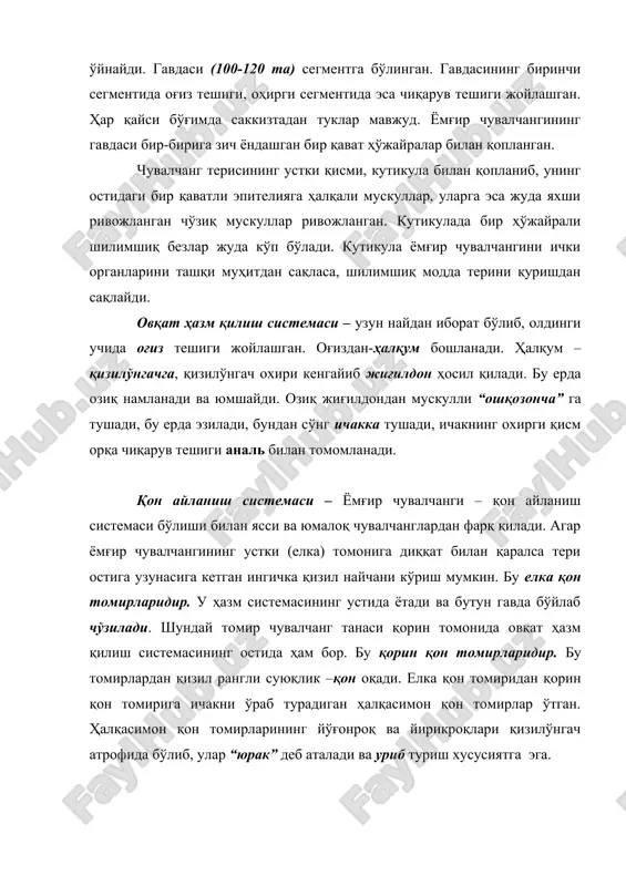 а жойлашган бир жуфт ҳалқум усти нерв тугуни (“бош мия”) ва ўзаро бир-бири билан туташган нерв тугунидан ва шу тугунлардан кетадиган нервлардан иборат. қорин томонида гавданинг ҳар қайси бўғимида бир жуфтдан нерв тугуни бор. кўпайиши – ёмғир чувалчанги – гермофрадит ҳайвон. унинг кўпайиш органлари гавданинг олдинги қисмига жойлашган, эркаклик жинсий органларида – уруғдонда сперматазоидлар, уруғочилик жинсий органларида – тухумдонларда тухум етишади. эрта кўкламда, кўпайиш даври келиши билан чувалчанг белбоғи шилимшиқ модда ишлаб чиқаради, белбоғ атрофида шу моддадан муфтача ҳосил бўлади. мускулларнинг қисқариши туфайли муфтача чувалчанг гавдасининг олдинги қисмида сирғаниб боради.тухум йўли ва уруғ йўли белбоғ ташқарисига очилган бўлиб, белбоғ устида ҳосил бўлган муртача ичига уруғ ва тухум ҳўжайра чиқади. муфтача ичига уруғ ва тухум ҳўжайра уруғланади ва чувалчангдан уруғлаб тушган ичида уруғланган тухум ҳўжайра бўлган муфтача пиллага айланади. ёмғир чувалчанги жинссиз йўл билан кўпаймайди. аммо чувалчангни иккига бўлсак унинг айрим қисмлари ўсиб, бутун организмга айланиши мумкин. 3. кам тукли ҳалқали …