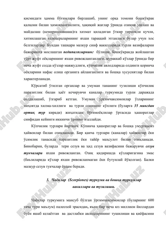 томонининг устида бир жуфт каттароқ кўз, ён томонида эса 5 жуфт майда содда кўзчалар жойлашган. бошкўкракнинг қорин томонида оғиз, бир жуфт ўткир “тишли” хелецера ва бир жуфт жуда катта педипалп жойлашган. овқат овлашда энг асосий қурол бўлмиш педипалплар қисқичбақадаги қисқичоёқларга ўхшаб, зўр мускулли омбурчалар билан қуролланган. тўрт жуфт кўкрак оёқлари юришга хизмат қилади. олти сегментли, яхши чегараланган ва энли олдинги қоринчанинг биринчи сегментига (қорин томонига) жинсий йўл очилган бўлиб, мазкур бўғимда бир жуфт каттагина “тармоқсимон” орган жойлашган. қолган тўртта сегментга бир жуфтдан нафас олиш органлари “ўпка” тешикчалари очилган. кетинги қоринча (“дум”) 5 – 7 бўғимли бўлиб, унинг энг охиргисида заҳар бези ва найза жойлашган. анал тешикчаси найзали бўғимнинг юқоридагисига очилган. чаёнлар – тунги ҳайвонлардир, улар кундузи тупроқ ичидаги ёки тош-ғишт коваклари орасидаги “уяларида” ётиб, кечалари “ов”га чиқишади ва думини юқорига қайирган ҳолда тез югуриб ҳаракат қилади. у йўлида учраган ҳашоратлар, ўргимчак ва бошқа майда ҳайвонларни педипалплари билан ушлаб, ейди. агарда …