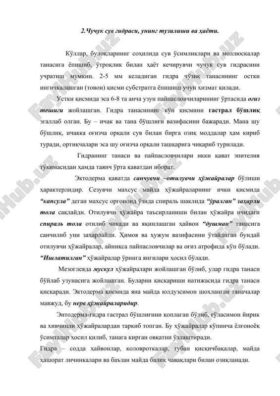 иб, куртак бўшлиғи ҳам она танаси бўшлиғи билан туташган бўлади. жинсий кўпайиш - гидраларни (айниқса ўзбекистон сув ҳавзаларида яшайдиган) бир неча тури қўш жинсли, хуноса, гермофродит бўлиб бир гидрада ҳам уруғ-сперматозоид ҳам тухум ҳўжайра етишади. жинсий ҳўжайралар эктодермода ҳосил бўлади. тухум сувда уруғланади. жинсий кўпайиш кўпинча куз фаслида кузатилади. ҳайвонларнинг ўз ёъқолган қисмини тиклай олиш ҳусусиятлари регенерация дейилади. гидрани катта 1 та пайпасловчи ҳам бутун гидрага айланиши мумкин. медузалар синфи – булар очиқ денгизларда, кўпчилиги жанубий денгизларда тарқалган, эркин яшовчи ковакичлилардир. буларнинг кўпчилигининг шакли соябонча яхшайди. стсифомедузаларнинг икки юзга яқин тури бор. синф вакили сифатида денгизларда жумладан қора денгизда кўп учрайдиган аурелия медузасини олиш мумкин. қора денгизнинг шимолий қисми қрим соҳилларида баҳор ва ёз ойларида сув бетида кўплаб сузиб юрувчи оч бинафша чиройли аурелиялларни кўриш мумкин. уларнинг унча катта бўлмаган соябонсимон танаси (диам 10-20-21 см) тиниқ ва шилимшиқли тарелкага ўхшаб кетади. соябонининг марказий ички (остки) қисмида 4 та оғиз олди …