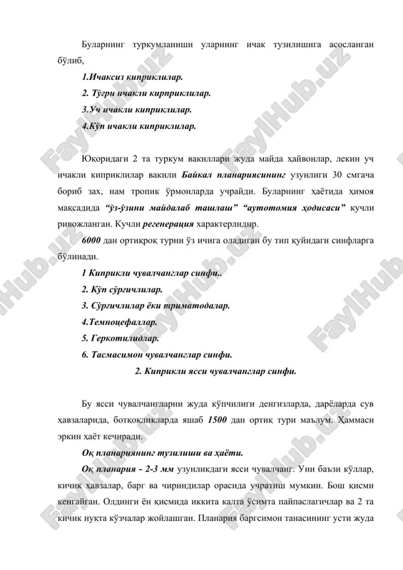 ида жуда кўп ён шохчалар ҳосил қилади. бу шохчалар орқали ҳазм бўлган озиқ танага тарқалади. планария икки жинсли (хуноса), жинсий органлари кучли ривожланган. узум бошига ўхшаган бир жуфт уруғдонлар иккита уруғ ёълига туташган. улар бирлашиб уруғ қопчиғига бириккан. бу қопчиқ уруғ чиқариш канали орқали жинсий клоакага очилган. бир жуфт тухумдонлар бош томонида жойлашган бўлиб улар тананинг икки ён қисмидан ўтган иккита тухум ёъллари билан туташган. тухум ёълларига жуда кўп сариқлик безлари бирлашган. булардан ташқари жинсий клоакага бошқа чувалчангдан ўтган сперматазоидларни қабул этиб олувчи пуфакча туташган. планария хуноса бўлса ҳам сперматазоидларини алмаштириб урчийди. бошқа чувалчангдан ўтган сперматазоидлар маълум вақт уруғ қабул этувчи қопчиқда сақланиб, кейинчалик тухум ёълигда кўтарилади ва етилган тухумни оталантиради. оталанган тухумлар сариқлик (озиқ) билан ўралгач, пилла ичига ўралади. планария ўз пилласини сувдаги субстратларга илаштириб қўяди. нерв системаси – “бош” томонидаги бир жуфт асосий нерв тугунлари ва ундан пойга қараб ёъналган ён нерв ипларидан таркиб топган. бош нерв бўғимлари …