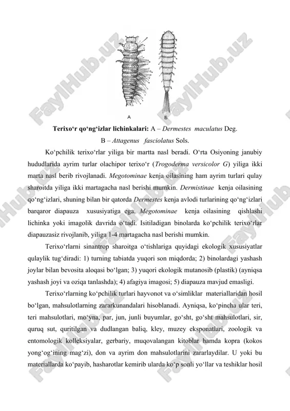 qtisodiy ahamiyatga ega zararkunanda sifatida kiyim kuyasi (teneola biselliella humm) ni alohida kо‘rsatish kerak. zararlashi jihatidan ikkinchi о‘rinda о‘rtacha iqlimli mintaqalar sharoitida mо‘yna kuyasi (tinea pellionella l.) qayd qilingan. kuyalarning barcha yoshdagi qurtlari kemirib zarar beradi. kuyalarning kapalaklari qо‘shimcha oziqlanmaydilar. kapalaklar g‘ira-shira qorong‘ilik va kechaning birinchi yarmiga qadar uchadilar, о‘rtacha 7-10 kun yashab, bu davrda 60-120 gacha tuxum qо‘yadilar. kuyalarni qurtlari о‘zlariga ipak iplaridan turli pana joy tо‘qib yashirin hayot kechiradilar. mо‘yna va kiyim kuyalarining rivojlanishi uchun optimal harorat 23-250s, namat kuyasi uchun – 27-280s, qushlar uyasida doimiy yashaydigan uya (tinea lapella hb.), kaptar va boshqa kuyalar pastroq haroratda yashaydilar. ularning qurtlari salbiy haroratda ham yashay oladi. boshqa kuya turlar kapalaklari bahor-yoz oylarida ochiq tabiatga uchib chiqadi va uy-joylar yaqinida qushlar uyasida bir nasl berib, kuzda qaytadan binolarga kо‘chib kiradi. kuyalarga qarshi zamonaviy kovrol, dermol, keratsid, molemor, supramid, aeroentimol singari tabletka va aerozol shakllarida ishlab chiqarilgan preparatlar junli buyumlarni nafaqat …