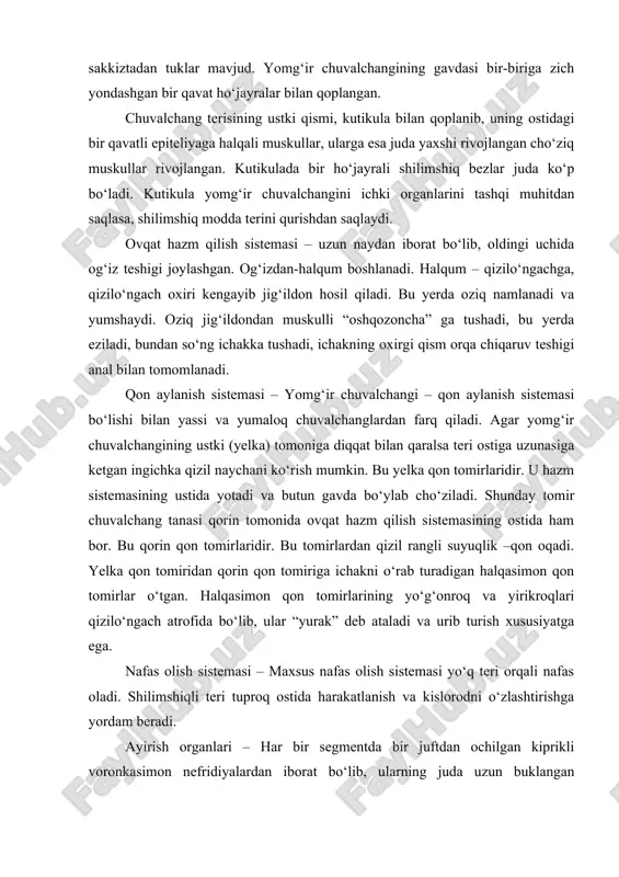 rikli voronkasimon nefridiyalardan iborat bо‘lib, ularning juda uzun buklangan naychalari dissepiment pardalarga yopishib joylashgan. naychaning uchi esa pastdagi segment orqali tashqariga ochilgan. nerv sistemasi – bosh segmentida halqumning ustida joylashgan bir juft halqum usti nerv tuguni (“bosh miya”) va о‘zaro bir-biri bilan tutashgan nerv tugunidan va shu tugunlardan ketadigan nervlardan iborat. qorin tomonida gavdaning har qaysi bо‘g‘imida bir juftdan nerv tuguni bor. kо‘payishi – yomg‘ir chuvalchangi – germofradit hayvon. uning kо‘payish organlari gavdaning oldingi qismiga joylashgan, erkaklik jinsiy organlarida – urug‘donda spermatazoidlar, urug‘ochilik jinsiy organlarida – tuxumdonlarda tuxum yetishadi. erta kо‘klamda, kо‘payish davri kelishi bilan chuvalchang belbog‘i shilimshiq modda ishlab chiqaradi, belbog‘ atrofida shu moddadan muftacha hosil bо‘ladi. muskullarning qisqarishi tufayli muftacha chuvalchang gavdasining oldingi qismida sirg‘anib boradi.tuxum yо‘li va urug‘ yо‘li belbog‘ tashqarisiga ochilgan bо‘lib, belbog‘ ustida hosil bо‘lgan murtacha ichiga urug‘ va tuxum hо‘jayra chiqadi. muftacha ichiga urug‘ va tuxum hо‘jayra urug‘lanadi va chuvalchangdan urug‘lab tushgan ichida urug‘langan …