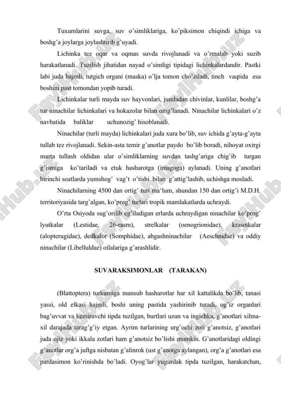 zilgan, burtlari uzun va ingichka, g’anotlari xilma-xil darajada tarag’g’iy etgan. ayrim turlarining urg’ochi zoti g’anotsiz, g’anotlari juda ojiz yoki ikkala zotlari ham g’anotsiz bo’lishi mumkin. g’anotlaridagi oldingi g’anotlar org’a juftga nisbatan g’alinrok (ust g’anotga aylangan), org’a g’anotlari esa pardasimon ko’rinishda bo’ladi. oyog’lar yugurdak tipda tuzilgan, harakatchan, oyog’ toschalari yirig’ panjalari 5 bo’g’imli. suvaraksimon-lar tuxumlarini g’alin xaltacha (ooteka) ichiga joylashtirib g’uyadi. tuxum xaltachasining formasi har g’aysi tur uchun xosdir. mazkur hasharotlar juda sekin rivojlanadi. lichinkalari ust ko’rinishidan etuk zotlaridan kichikligi, g’anotlari yo’g’ligi va burt bo’g’imlari ozligi bilan farg’ g’iladi. suvaraklar ko’prog’ tun hasharotlari hisoblanadi. ular o’simlik g’oldig’larida, toshlar ostida, xonadonlarda va turli xo’jalik xonalarida, ba‘zan tuprog’da va hakozo joylarda yashaydi hamda turli-tuman narsalar bilan ozig’lanadi. suvaraklar uzog’ vag’t ochlikka chidaydi. ko’p turlari har xil tashlandig’lar orasida yashaganligi tufayli tana g’ismlari va ekskrementlar org’ali hap xil kasallik targ’atuvchi patogen mikroorganizmlarni targ’atadi. suvaraksimonlar juda g’adimgi hashorotlardan hisobla-nib, g’azilma holida ham uchraydi. turlar soni …