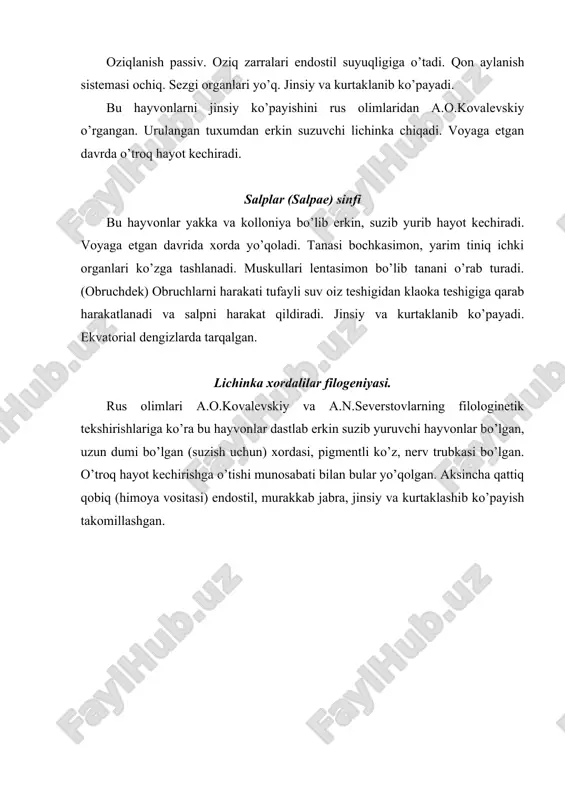 lichinka xordalilar (ugochordata) kenja tipiga umumiy tavsif - Page 3