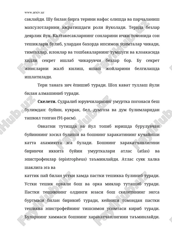 асосий понасимон суяк асосий энса суякни олдида жойлашади ва мия кутисини тагини хосил килади. асосий понасимон суякнинг олдига унча катта булмаган парасфеноид тегиб туради ва уни олдида жуфт димог суяклари жойлашади, буларнинг ён томонларида хоаналар туради. эшитиш булимларида учта кулок суяклари (кулоколди, кулок орти ва устки кулок) бор. хидлов булимида суяклар йук. мия кутисининг копкоги жуфт бурун, пешонаолди (praefrontale), пешона, пешона орти (posfrontale), тепа ва ток тепаоралик (interparietale) суяклари билан копланган. тепаоралик суягида тепа органи учун тешик бор. мия кутисини четлари жуфт жагаро, устки жаг, куз усти (supraorbitale), чакка (jugale), квадрат ёнок (qudratojugale) ва тангача (squamosum) суяклари билан копланган. лекин квадрат ёнок суяги калтакесакларда йуколиб кетади. мия кутисининг таги жуфт танглай ва канотсимон суяклардан ташкил топган. буларни кейинги ён томонларида биттадан квадрат (quadratum) суяги жойлашади. судралиб юрувчиларга хос булган кундаланг суяк (transversis) канотсимон суякни устки жаг суяги билан кушиб туради. калтакесакларда устунсимон ёки устки канотсимон (epуpterygoideum) суяги булиб, канотсимон суякни …