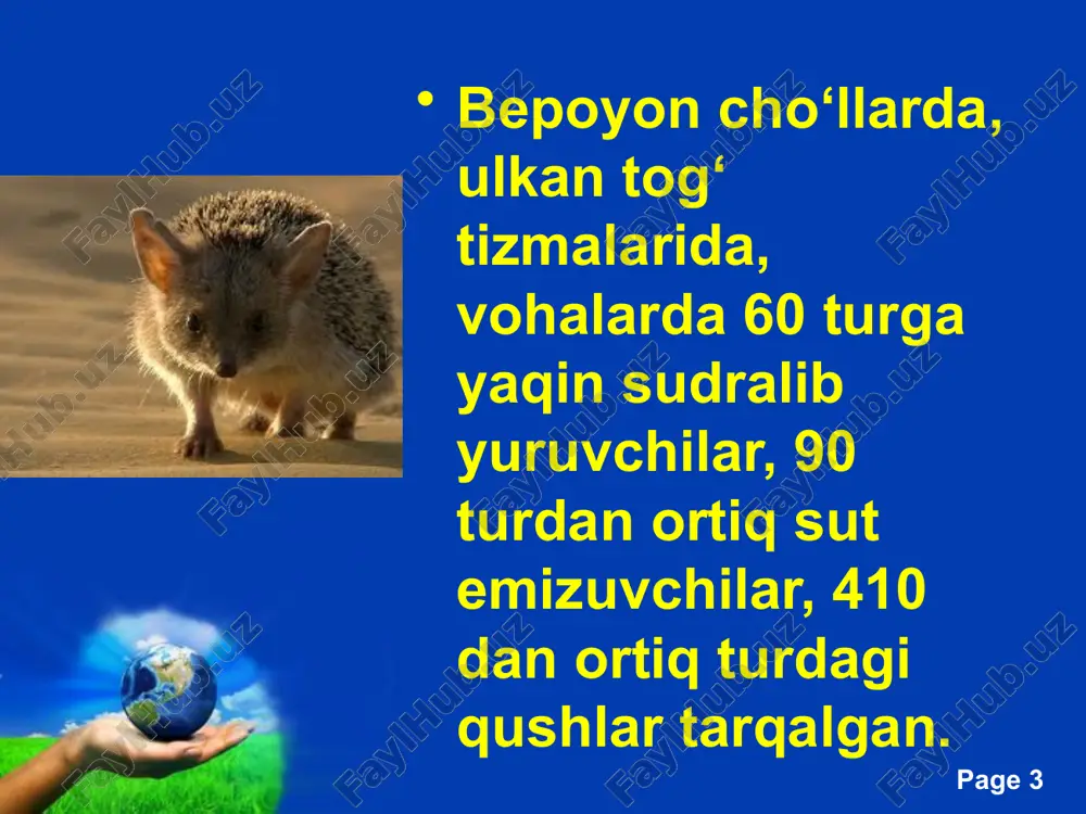 gda, toshloq hayvoni olachipor tusda bo’ladi. ingichka barmoqli qum yumronqozig’i cho’lning hamma yerida uchraydi, u sochilma qumlar ustida tez chopadi. free powerpoint templates page ‹#› yirtqich hayvonlarning qo’ng’ir-malla juni qalin va boshqa o’simliklar orasida mutlaqo bilinmaydi. yo’lbars ilgari amudaryo, vaxsh va ili daryo to’qaylaridagina onda-sonda uchrab turadi. yo’lbars, to’ng’iz va bug’u ovlab hayot kechiradi. to’qay mushugi, botqoq silovsini, qoplon, suv atroflaridagi qalin butazorlarda yashab kechayu-kunduz o’rdak, g’oz, qirg’ovul, quyonlar ovlaydi. to’qaylarda quyon, suv kalamushi, sichqon, chiyabo’rilar, qirg’ovul, ko’ktarg’oz, mayqurt, karqupoq, chumcuq ham nihoyatda ko’p. ba’zi bir qushlar chunonchi, qoravoy qishda afrikaga, janubiy va sharqiy osiyoga, avstraliyaga uchib ketadi. suvli yerlarda o’rdak, g’oz, loyxo’rak, baliqchi, baklan, saqoqush, flamingo nihoyatda ko’p. to’qaylarda qurbaqalar ko’p, chigirtka va chivinlar ham oz emas. hayvon va parrandalarni qo’riqlash mobaynida amudaryo davlat qo’riqxonasi tashkil etilgan edi. endi bu qo’riqxonani qaytadan tiklash maqsadga muvofiqdir. free powerpoint templates page ‹#› hayvonlar yerning – hayot qobig’i, biosferaning asosiy komponentlaridan bo`lib, …