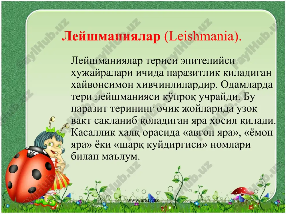 а одамда безгак хуруж қилади. пашша касал одамни чаққанида паразитни қайта юқтиради. унинг ошқозонида паразитлар жинсий ҳужайраларга айланади. уруғланган тухум ҳужайраси (зигота) ҳаракатчан бўлади. у ошқозон деворига кириб олиб, жинссиз бўлина бошлайди ва жуда кўп спорозоитларни ҳосил қилади. бу ҳужайралар пашша ошқозон деворидан унинг сўлак бези йўлига ўтади. пашша одамни чаққанида паразитлар яна одам қонидаги эритроцитларга ўтади. www.arxiv.uz www.arxiv.uz споралилар орасида фойдали ҳашаротларда ва уй ҳайвонларида паразитлик қилувчи турлари ҳам кенг тарқалган. нозема споралиси (nosema) тут ипак қуртида ва асалариларида паразитлик қилади. касалланган ипак қуртларининг танаси қораяди. шу сабабли бу касаллик «қорасон» ёки «пебрина» деб аталади. пебрина юқумли оғир касаллик, касалланган қуртлар кўплаб нобуд бўлади. шунинг учун касалланган қурт топилган сўкчаклардаги ҳамма қуртлар куйдириб ташланади. пебрана асалариларда оғир ич кетишни пайдо қилади. споралилар типига мансуб бўлган пироплазмидлар қорамоллар, отлар, итлар ва бошқа сутэмизувчилар қонида паразитлик қилиб, қон касалликларини пайдо қилади. пироплазмидларни ҳайвонларга қон сўрувчи каналар юқтиради. сутэмизувчилар ва қушларнинг мускулида …