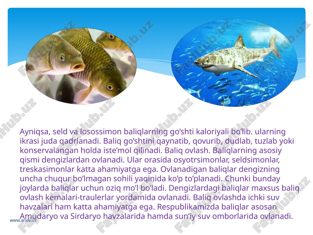 gan joylarida o’tkinchi losossimon baliqlar uchun maxsus aylanma suv yo’llari qoldiriladi, baqra baliqlar uchun esa ko’tarma qurilmalar o’rnatiladi. www.arxiv.uz image2.jpeg image3.jpeg image4.jpeg image5.jpeg image6.jpeg image7.jpeg image8.jpeg