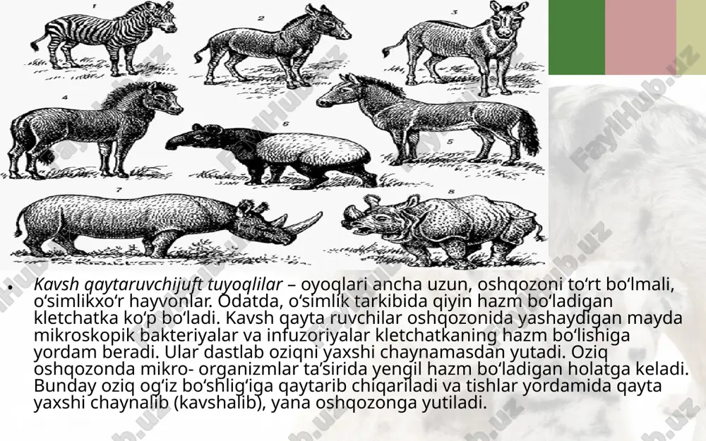 tuyoqli sutemizuvchilar. 7- sinf - Page 3