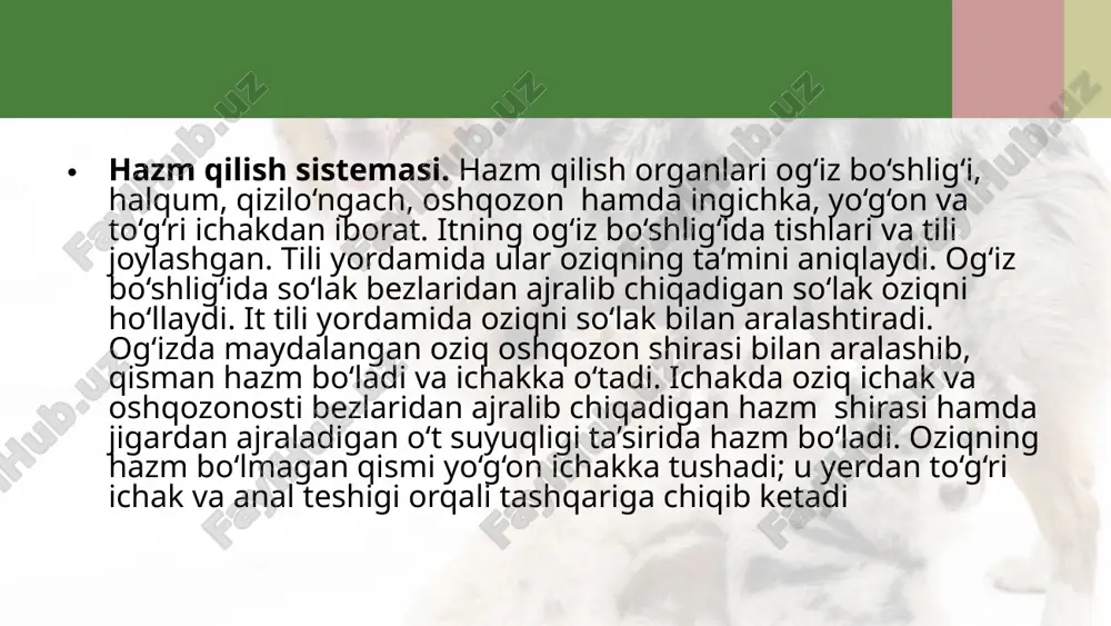 yg‘u organlari hisoblanadi. bunday qillar ko‘pincha burun teshiklari va ko‘zlar yaqinida joylashganligidan «mo‘ylovlar» ham deyiladi. savol va topshiriqlar sutemizuvchilarning hazm qilish sistemasi qanday qismlardan iborat? sutemizuvchilar qanday qilib nafas oladi? qon aylanish sistemasi qanday tuzilgan? ayirish sistemasi qanday tuzilgan? sutemizuvchilar bosh miyasi qanday tuzilgan? sutemizuvchilarning qaysi sezgi organlari rivojlangan? image2.jpeg image3.jpeg image4.jpeg image5.jpeg image6.jpeg image7.jpeg image8.jpeg image9.jpeg image10.jpeg image11.jpeg image1.jpeg