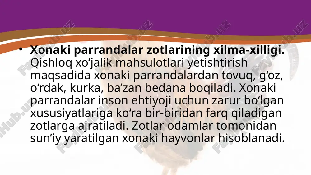parrandachilik. 7- sinf - Page 3