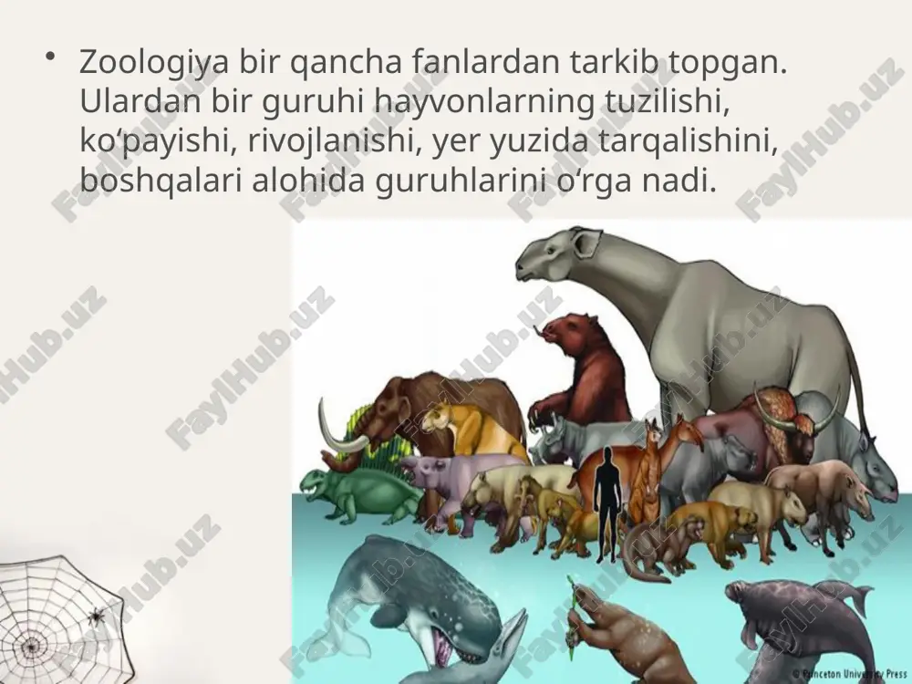 mliklarga ziyon keltiradigan turlari ham ko‘p uchraydi. qon so‘ruvchi hasharotlar va kanalar parazitlik qilish bilan birga, o‘lat, terlama, bezgak kasalliklarini tarqatadi. atoqli vatandoshimiz abu ali ibn sino o‘zining «tib qonunlari» asarida kasallik paydo qiladigan hayvonlardan saqlanish haqida yozib qoldirgan. hayvonlarni muhofaza qilish. odamlar qadimdan yovvoyi hayvonlarni ovlashgan; ularning go‘shti, terisi va boshqa mahsulotlaridan foydalanishgan; hayvonlarni qo‘lga o‘rgatishgan; ulardan uy qo‘riqchisi va ishchi kuchi sifatida foydalanishgan. keyinchalik aholi sonining ortib borishi, ov qurollarining tobora takomillashuvi, hayvonlar uchun zarur bo‘lgan tabiiy sharoitning buzilishi ta’sirida yevropa turi (qoramollar nasl boshi), tarpan (otlar nasl boshi), stellerov sigiri (dengiz hayvoni) yo‘q bo‘lib ketdi; prjevalskiy oti, zubr, bizon, jayron, xongul kabi hayvonlar uchun qirilib ketish xavfi tug‘ildi. bu hol hayvonlar va ular yashaydigan muhitni muhofaza qilishni talab etadi. respublikamiz hududida noyob va soni kamayib borayotgan hayvonlarni asrab qolish va ko‘paytirish maqsadida badayto‘qay, qizilqum, zarafshon, surxon va hisor davlat qo‘riqxonalari, chotqol biosfera qo‘riqxonasi, bir qancha milliy bog‘lar …
