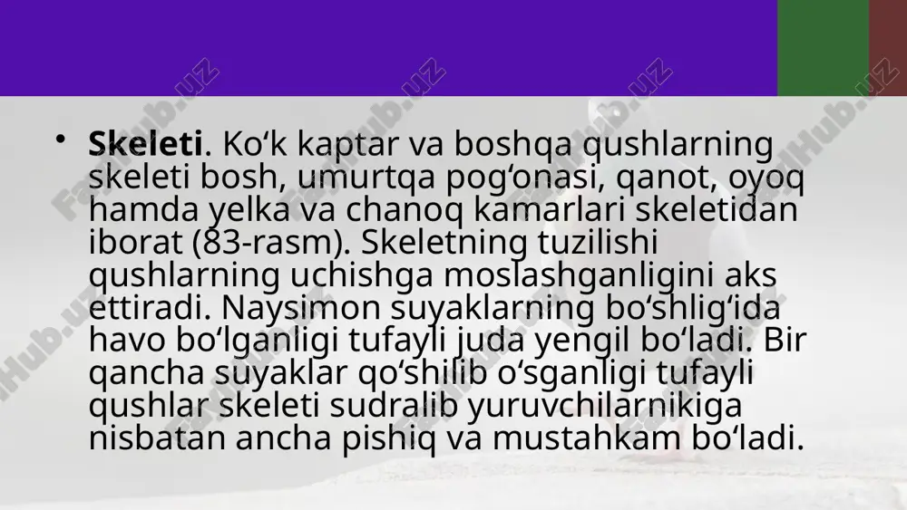 ko‘k kaptarning skeleti va muskullari. 7- sinf - Page 3