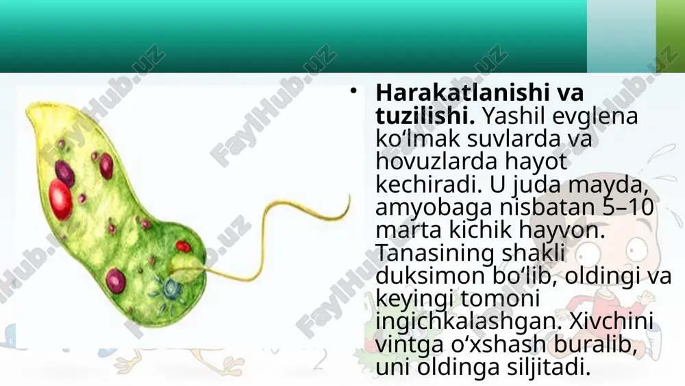 xivchinlilar sinfi. 7- sinf - Page 3