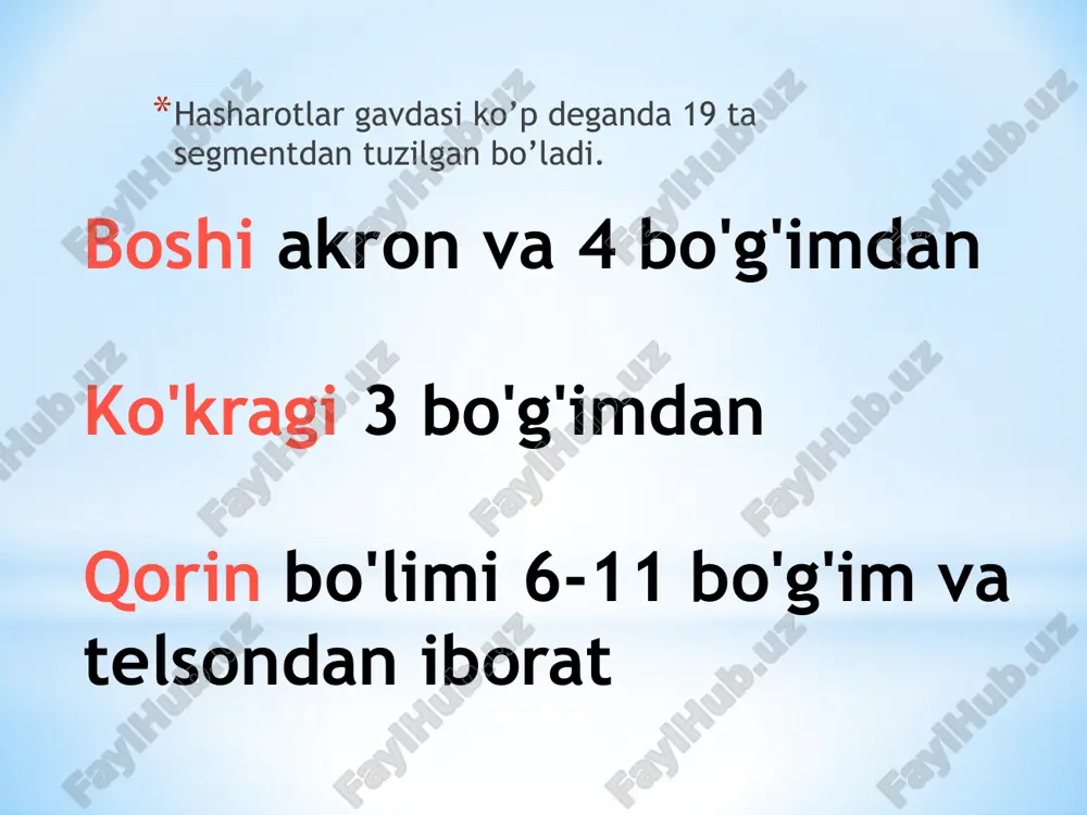 hasharotlar tana qismlari - Page 3