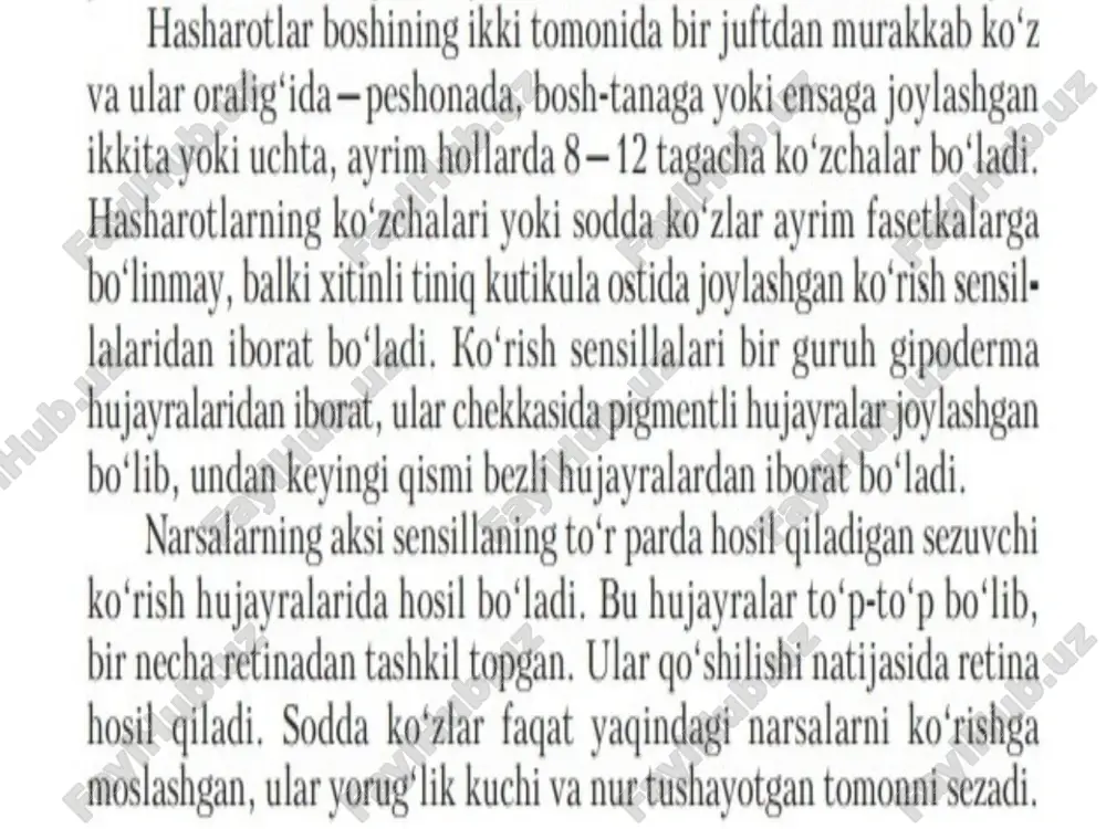 hashoratlarning ko'rish eshitish va hid bilish organlari - Page 3