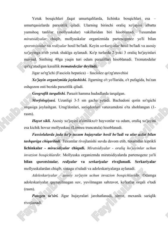 da tuxumlarni topishga asoslangan. ba'zan jigar bilan ovqatlangan shaxslar tekshirilganda axlatida tuxumlar (tranzit tuxumlar) aniqlanishi mumkin, bunday holatlarda tahlilni 3-4 kundan keyin qaytadan o'tkaziladi. l-rasm. jigar so'rg'ichi. 1-og'iz so'rg'ichi; 2-shoxlangan ikki tormoqli ichak; 3-qorin so'rgichi; 4-sirrus xaltasi; 5-tuxumdon; 6-bachadon; 7-urug' eltuvchi nay; 8-sariqdon naylari; 9 - urug'donlar; 10-sari'donlar. jigar so'rg'ichining taraqqiyot sikli. profilaktikasi. faqat qaynatilgan suvlarni ichish, sabzavot va ko'katlarni yahshilab yuvilganidan keyin iste'mol qilish, kasal hayvonlarni davolash orqali parazit yuqishi oldini olish mumkin. mushuk (sibir') so'rg'ichi (opisthorchis felineus) – opistorxoz qo'zg'atuvchisi. xo'jayin organizmida joylashishi. oshqozon osti bezi, jigar, o't pufaklarda yashaydi. geografik tarqalishi. g'arbiy evropa, g'arbiy sibir va sharqiy qozog'iston hududlarida tarqalgan. morfologiyasi. uzunligi 0,5-1,0 mmdan oshmaydi. ichagi tarmoqlanmagan, tuxumdoni yumaloqlashgan, juft urug'donlari shoxlanmagan va tanasini keying qismiga joylashgan. tanasining oldingi qismi orqa qismiga qaraganda ingichkaroq. hayot sikli. parazitning asosiy, oraliq va qo'shimcha xo'jayinlari mavjud. asosiy xo'jayinlari - odam va go 'shtxo 'r hayvonlardir, (it, mushuk, tulki, shimol tulkisi …