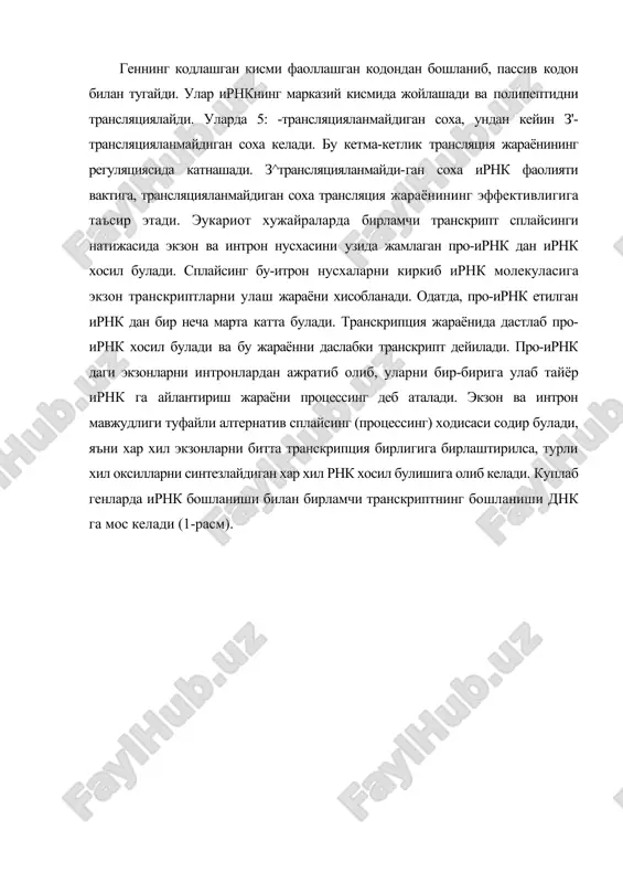 йилади. инициация дейилганда, рибосомаларнинг ирнк даги старт кодонни таниши ва оксил биосинтезининг бошланиш нуктаси тушунилади. бирламчи транскриптнинг про-ирнк з'-охири ирнкнинг з'-охири билан мос келади. транскрипция давом этиб, рнк-полимераза таъсирида днкнинг турли кисмларида рнк синтезланаверади ва нуклеотидлар сони юзлаб жуфтга етиши мумкин. кейин узунлиги билан фарк, киладиган пассив сохада транскрипция пасайиб, рнк-полимераза матирицадан ажралади. хужайра ядросида про-мрнкда процессинг (етилиш) жараёни сплайсинг ёрдамида содир булади. про-ирнк таркибидаги интронларнинг киркиб олиб ташланиши сплайсинг дейилади. ирнкнинг тула етилувчи молекуляр генетик жараёни процессинг дейилади. геннинг регулятор кисми генлар фаолиятининг генетик регуляцияси хдадаги назария ва бу назарияга асосланган оксилларнинг биосинтез килинишини ифодаловчи модель 1961 йилда француз олимлари ф. жакоб ва ж. монолар томонидан кашф этилди. ушбу назарияга биноан структуравий генлар фаолиятини регуляция килувчи генлар функциясига караб икки гурухга булинади: 1. оператор ген ирнкда структуравий генларнинг олдида жойлашган булади. ушбу ген жойлашган ирнкнинг кисми оперон деб аталади. оператор гени структуравий генлар фаолиятини бевосита бошкариш функциясини бажаради (2-расм). …