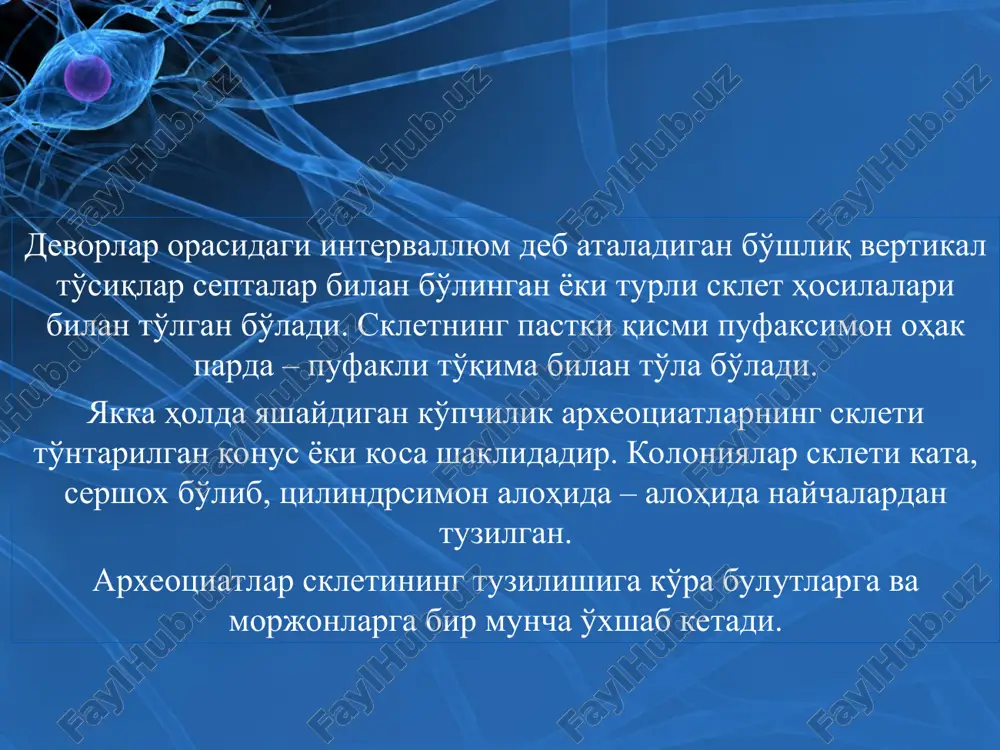 археоциатлар типи - Page 3