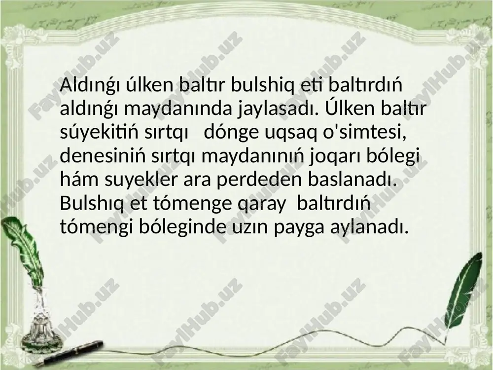 aldingi ham artqi ayaq bulshiq etleri - Page 3