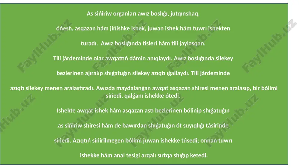 haywanlardiñ as siñriw sistemasi - Page 3