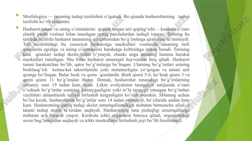 eri qoplami xuddi shunday tuzilgan. ammo ko’pchilik hasharotlarning lichinka yoki qurtlarida prokutikula egiluvchan va elastik holatda bo’ladi. hasharotlarning tashqi muhit bilan bo’ladigan o’zaro munosabatlarini tushunishda ham, ularga qarshi kimyoviy kurash olib borishda ham, kutikulaning o’tkazuvchanligiga oid masala jiddiy ahamiyat kasb etadi. kutikula mexanik ta’sirlardan himoyalanish vazifasini o’tashi bilan birga, fiziologik to’siq hamdir. u suvni organizmdan bug’lanishiga hamda zaharlar unga o’tishiga yo’l qo’ymaydi. shu boisdan sirtdan ta’sir qiladigan preparatlarni ishlatishda qo’shimcha ho’llovchi dorilarni aralashtirish yo’li bilan suyuq dorining samaradorligi oshiriladi, alohida hollarda esa yog’larda (bu holda lipoidlarda) eriydigan preparatlar qo’llaniladi. mushaklarning tuzilishi. hasharot tanasi murakkab ravishda bo’g’imlangan va tana qismlari turli darajada harakatlanishi tufayli mushaklari ham murakkabdir. hasharot tanasida qariyb 2 ming xil mushaklar bor. teri qoplamiga birikmagan mushaklar bunga kirmaydi. lichinka yoki qurtlarnikiga nisbatan ulg’aygan hasharotlarning mushaklari ancha xilma-xildir. hasharotlarning ovqat hazm qilish tizimi og’iz teshigidan boshlanadi. undan keyin xalqum va qizilo’ngach keladi. u hasharotlarning ko’pchilik turlarida kengaygan yoki bo’rtib …