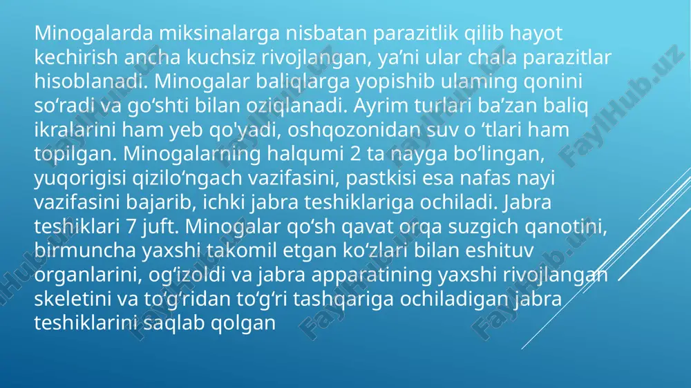 asiga o‘tadi yurak qorinchasidan qorin aortasi (10-rasm,8) ketadi, qorin aortasidan jabraga olib keluvchi arterialar (10-rasm,9) qonni jabra xaltachalarining kapillyarlariga beradi. kislorodga to‘yingan qon jabradan olib ketuvchi arterialar (10-rasm,2) orqali orqa aorta ildizlariga (10-rasm,1) yig‘iladi va bu arterial qon butun gavdaga tarqaladi. gavdaning hamma qismidan yig‘ilgan vena qoni yana vena sinusiga quyiladi. minoganing qon aylanish tizimi sxemasi: 1-orqa aorta ildizlari, 2-jabradan olib ketuvchi arteriyalar, 3-oldingi kardinal vena, 4-orqa aorta, 5-keyingi kardinal vena, 6-ichak arteriyasi, 7-jabraga olib keluvchi arteriyalar, 8-qorin aortasi, 9-jabra yoriqlari, 10-yurak qorinchasi, 11-yurak bo‘lmasi, 12-vena sinusi, 13-jigar venasi, 14-pastki bo‘yintiriq vena, 15-dum venasi va arteriyasi. minoganing skeleti. a-ustki tomondan; b-yon tomondan ko‘rinishi: 1-miya qutisi, 2-hidlash kapsulasi, 3-eshitish kapsulasi, 4-ko‘z osti yoyi, 5-xalqali tog‘ay, 6-oldingi ustki tog‘ay, 7-keyingi ustki tog‘ay, 8-yon tog‘aylari, 9-tayoqchasimon tog‘aylar, 10-til osti tog‘ayi, 11-jabra panjarasi, 12-yurak oldi tog‘ayi, 13-xorda, 14-ustki yoy murtaklari, 15-stilesimon tog‘ay. e'tibor uchun raxmat!!! image1.png image2.gif image3.gif image4.png image5.gif