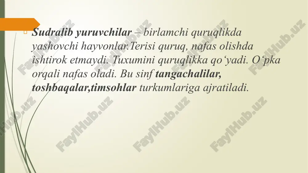 lar singari ichki urug‘lanish sodir bo‘ladi. urg‘ochi kaltakesak 5 dan 15 tagacha urug‘langan tuxumlarini oftob tushib turadigan joyga qo‘yadi. tuxumlar tuproqqa yuzaroq qilib ko‘mib qo‘yiladi. tuxumlar ancha yirik va sariqligi ko‘p bo‘lib,sirti qalin po‘choq bilan qoplangan. po‘choq tuxumni qurib qolishdan saqlaydi. tuxumning sariqligi rivojlanayotgan murtak uchun oziq hisoblanadi. kaltakesak tuxumidan voyaga yetgan hayvonga o‘xshaydigan kichik kaltakesak chiqadi. agar yirtqich hayvon kaltakesak dumidan tutib oladigan bo‘lsa, u dumining bir qismini tashlab, qochib qoladi. uzilib qolgan dum birmuncha vaqt qimirlab turadi. bu hodisa dum umurtqalaridan birining o‘rtasidan sinishi natijasida yuz beradi. keyinroq dum yana qaytadan o‘sib chiqadi, ya’ni regeneratsiyasodir bo‘ladi. e’tiboringiz uchun raxmat image1.jpg image2.jpg image3.png image4.png image5.jpg image6.jpg image7.jpg