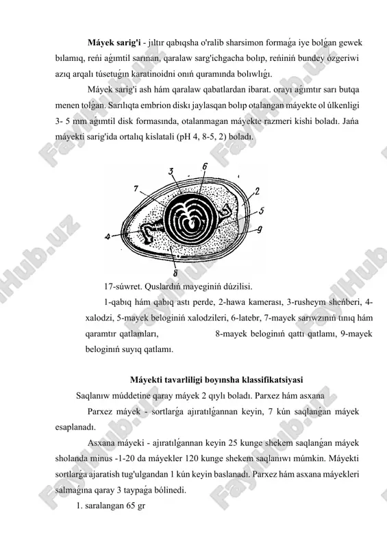 veterinariya sanitariyası ekspertizasi satıwǵa, qayta islewge yamasa saqlanıwǵa alıp kelingen xar bir partiya máyek ekspertizadan ótkeriliwi kerek. alıp kelingen partiyada máyekti sapası hám xojalıqtı keselliklerden tazalıǵı tuwrısında pasportı yamasa veterinariya gúwalıǵı bolıwı kerek, keri jaǵdayda máyekler 1000 c xaroratda 13 minut qaynatiladi. yekspertiza waqtında máyekti tazalıǵı, reńi hám qabıqlog'ini pútkilligi anıqlanadı. ovoskop apparatı járdeminde bolsa kamerasın úlkenligi hám belok hám de sarılıqtı jaǵdayı anıqlanadı. salmaǵı 45 gr den kem bolǵan tawıq máyekleri satıwǵa shıǵarılmaydı, xolati hám sapası jaqsı bolıwına qaramay. standart talaplarına tuwrı kelmaytuǵın máyeklerde tómendegi kemshilikler boladı. a) myatit bok (jambası urılǵan ) b) tyok - qabıǵı hám qabıq astı perdesin jarılıwı nátiyjesinde 100 sm muǵdarda oqayotgan máyek c) ishi aralasǵan máyek kem muǵdarda sarig'i menen beloktı aralasqanı d) kichik dog'li, ishinde bir neshe háreketsiz kishi daqları bar, olar 8/1 ishki bólegin iyeleydi. e) qurib qatqan - bunday máyektiń sarig'i qabıqqa jabıwıp, qatıp qurigan lekin pilislamagan boladı. bundey kemshiligi …