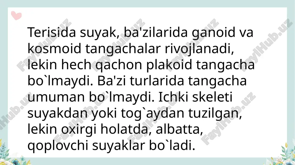 suyakli baliqlar sistematikasi - Page 3