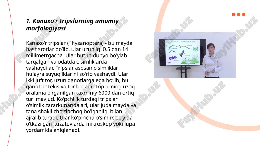 bir mavsumda bir xonqiz 5000 dan 8000 tagacha aphidni yeb, oʻsimliklarni himoya qiladi. kanaxoʻr trips maydonlarida yetti nuqtali xonqizlarni qoʻllash natijasida tabiiy zarargardalarga qarshi kurashda kaliy pestitsidlaridan foydalanganlarga qaraganda zararsiz ekinlar yetishtirish imkoni oshadi. maʼlumotlar shuni koʻrsatadiki, bunday yondashuvning samaradorligi 70% gacha oshib, ekologik muvozanatni saqlashga yordam beradi. xonqizlar qoʻllanilishi ekinlarning sogʻlom oʻsishiga va hosildorlikning 20% ga oshishiga olib kelishi mumkin. ... t.me/slaydai_bot 7. kanaxoʻr tripslarning oyoq tuzilishi 7. kanaxoʻr tripslarning oyoq tuzilishi juda qiziqarli va maxsus. ularning oyoqlari uch qismdan iborat bo'lib, har bir oyoq bo'g'imi turli vazifalarni bajarishga qodir. old oyoqlari oziq-ovqatni ushlash va manipulyatsiya qilish uchun moslashgan. o'rta oyoqlari yurish va harakatlanish uchun xizmat qiladi. orqa oyoqlari esa sakrash uchun mo'ljallangan. oyoq bo'g'imlari juda moslashuvchan va kuchli, bu esa ularga turli muhitlarda harakatlanishga imkon beradi. oyoqlarning uzunligi va massasi boshqa hasharot turi bilan solishtirganda o'ziga xos hisoblanadi, bu ularga kam energiya sarflab harakat qilish imkoniyatini beradi. ... …