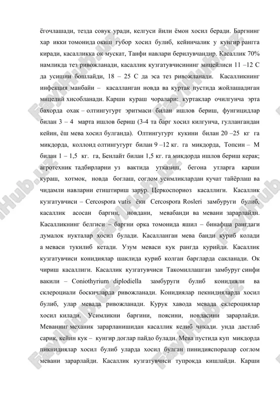 кук рангда курийди. касаллик кузгатувчиси конидиялар шаклида куриб колган баргларда сакланади. ок чириш касаллиги. касаллик кузгатувчиси такомиллашган замбуруг синфи вакили – coniothyrium diplodiella замбуруги булиб конидияли ва склероциали боскичларда ривожланади. конидиялар пекнидияларда хосил булиб, улар мевада ривожланади. курук хавода мевада склероциялар хосил килади. усимликни баргини, поясини, новдасини зарарлайди. меванинг механик зарарланишидан касаллик келиб чикади. унда дастлаб сарик, кейин кук – кунгир доглар пайдо булади. мева пустида куп микдорда пикнидиялар хосил булиб уларда хосил булган пинидияспоралар соглом мевани зарарлайди. касаллик кузгатувчиси тупрокда кишлайди. карши кураш чоралари: токзорлар тупрогини чукур хайдаш, усимликка бардо суклиги билан (3-4%) ишлов бериш, новдани боглаш, хомток килиш ва киркиш ишларини уз вактида утказиш, чидамли навларни етиштириш. антрокноз касаллиги. бу касаллик ток усимликнинг барча ер усти аъзоларини, айникса новдасини кучли зарарлайди. касалланган новларнинг паренхима тукималари кучли зарарланиб, ёгочнинг утказувчи найлари соглом булади. касалланган новдалар кунгир дог хосил килиб, чукур яраларга айланади. новдалар корайиб ривожланмайди, буралиб айрим жойларида коварик …