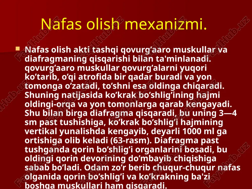 sining navbatdagi ikkinchi elementiga o'tiladi. og'izni-og'izga qo'yib sun'iy nafas beriladi, ya'ni bemor o'pkasiga ma'lum bosim (700 ml) ostida havo yuboriladi. image1.png image2.jpeg image3.jpeg image4.jpeg image5.jpeg image6.jpeg image7.jpeg image8.jpeg image9.png image10.jpeg