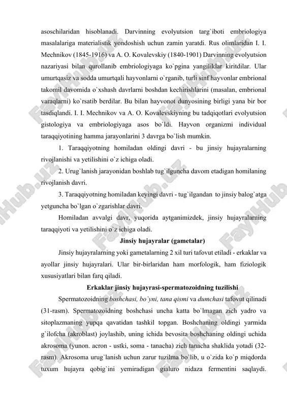 ermatozoidning boshchasi uncha katta bo`lmagan zich yadro va sitoplazmaning yupqa qavatidan tashkil topgan. boshchaning oldingi yarmida g`ilofcha (akroblast) joylashib, uning ichida bevosita boshchaning oldingi uchida akrosoma (yunon. acron - ustki, soma - tanacha) zich tanacha shaklida yotadi (32-rasm). akrosoma urug`lanish uchun zarur tuzilma bo`lib, u o`zida ko`p miqdorda tuxum hujayra qobig`ini yemiradigan gialuro nidaza fermentini saqlaydi. spermatozoidning bo`yin qismida, yadroning orqa qutbi sohasida proksimal sentriola joylashib, u silindrsimon shaklga ega. urug`lanish vaqtida proksimal sentriola tuxum hujayraga o`tadi va urug`langan tuxum hujayraning yoki zigotaning bo`linishida ishtirok etadi. yadrodan birmuncha uzoqda bo`lgan distal sentriola ikki bo`lakdan iborat. uning tayoqchasimon ko`rinishga ega bo`lgan birinchi yarmi bo`yin chegara sini hosil qiladi va undan spermatozoidning tanasi orqali dumchasiga o`tuvchi o`q ip boshlanadi. distal sentriolaning halqasimon shaklga ega bo`lgan ikkinchi bo`lagi esa tana oxirida joylashadi. shunday qilib, spermatozoidning tanasi distal sent-riolaning tayoqchasimon va halqasimon bo`laklari orasida joylashgan tuzilmalardan iborat. bu yerda o`q ip atrofida spiral holatda …