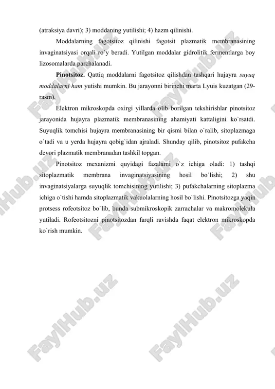 ’s i r c h a n l i g i deyiladi. hujayrada u yoki bu o`zgarishlarga olib keluvchi faktor esa ta’sirlovchi hisoblanadi. hujayraning ta’sirlovchi faktorlarga bo`lgan javobi uning komponentlarining funktsional va morfologik o`zgarishlari orqali ifodalanadi. agar ta’sirlovchi faktorga javoban hujayra tinch holatdan o`ziga xos bo`lgan funktsiyani (sekretsiya, o`tkazuvchanlik, qisqarish va boshqalarni) bajarishga o`tsa, bunga hujayra qo`z g`a- l u v c h a n l i g i deb ataladi. hujayra qo`zg`aluvchanligi ta’sirlanuvchanlikning yuqori formasidir. hujayra o`zi uchun adekvat (mos) ta’sirdan tashqari normal holatda uchramaydigan va uning uchun favqulodda bo`lgan ta’sirlovchi faktorlarga duch keladi. bu turdagi qo`zg`atuvchilarga ionlovchi nurlar, temperatura, mexanik va boshqa ta’sirlar kiradi. tabiiyki, ta’sirlovchi faktorlar turli , vaqt davom etgani singari, hujayraning ularga javobi ham har xildir. yirik sitologi d.n. nasonov va uning o`quvchilari uzoq yillar davomida hujayraning turli ta’sirlarga javobini o`rganishgan. buning natijasida d.n. nasonov paranekroz kontsepsiyasini yaratdilar. hujayraga turli faktorlar (temperatura, ionlovchi nurlar, gipoksiya …